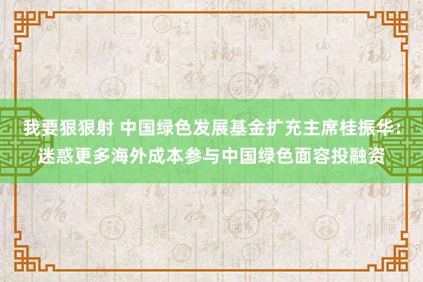 我要狠狠射 中国绿色发展基金扩充主席桂振华：迷惑更多海外成本参与中国绿色面容投融资