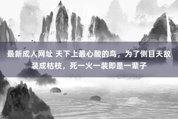 最新成人网址 天下上最心酸的鸟，为了侧目天敌装成枯枝，死一火一装即是一辈子