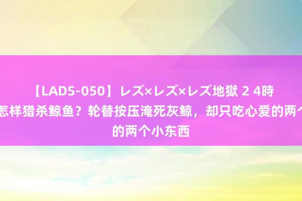 【LADS-050】レズ×レズ×レズ地獄 2 4時間 虎鲸怎样猎杀鲸鱼？轮替按压淹死灰鲸，却只吃心爱的两个小东西