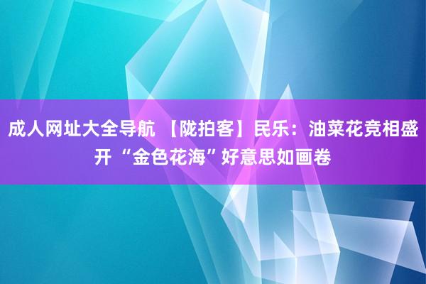 成人网址大全导航 【陇拍客】民乐：油菜花竞相盛开 “金色花海”好意思如画卷