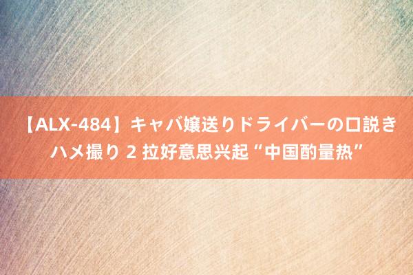 【ALX-484】キャバ嬢送りドライバーの口説きハメ撮り 2 拉好意思兴起“中国酌量热”