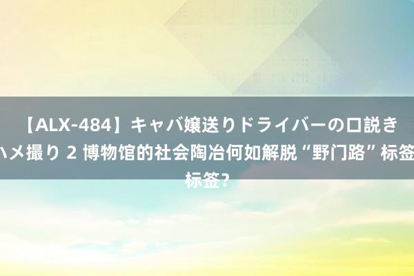 【ALX-484】キャバ嬢送りドライバーの口説きハメ撮り 2 博物馆的社会陶冶何如解脱“野门路”标签？