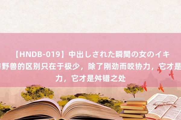 【HNDB-019】中出しされた瞬間の女のイキ顔 猛犬与野兽的区别只在于极少，除了刚劲而咬协力，它才是舛错之处