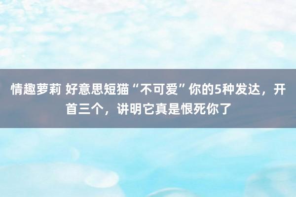 情趣萝莉 好意思短猫“不可爱”你的5种发达，开首三个，讲明它真是恨死你了