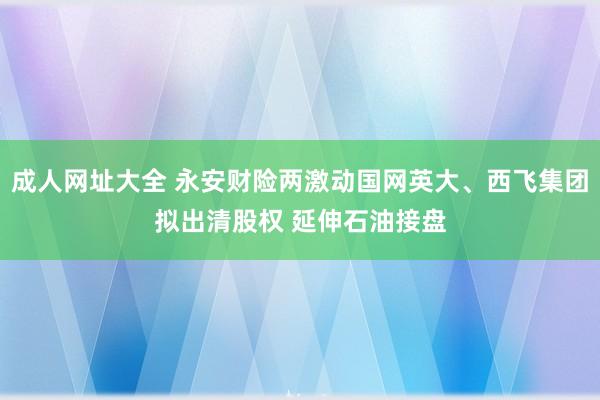 成人网址大全 永安财险两激动国网英大、西飞集团拟出清股权 延伸石油接盘