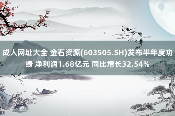 成人网址大全 金石资源(603505.SH)发布半年度功绩 净利润1.68亿元 同比增长32.54%