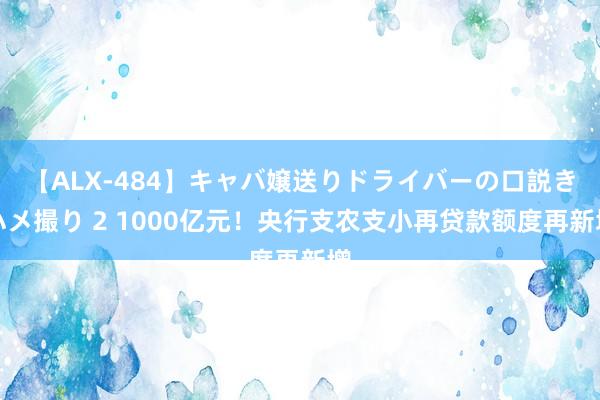 【ALX-484】キャバ嬢送りドライバーの口説きハメ撮り 2 1000亿元！央行支农支小再贷款额度再新增