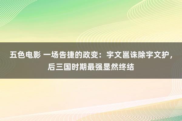 五色电影 一场告捷的政变：宇文邕诛除宇文护，后三国时期最强显然终结