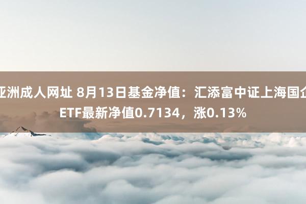 亚洲成人网址 8月13日基金净值：汇添富中证上海国企ETF最新净值0.7134，涨0.13%