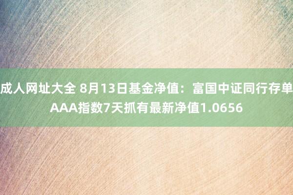 成人网址大全 8月13日基金净值：富国中证同行存单AAA指数7天抓有最新净值1.0656