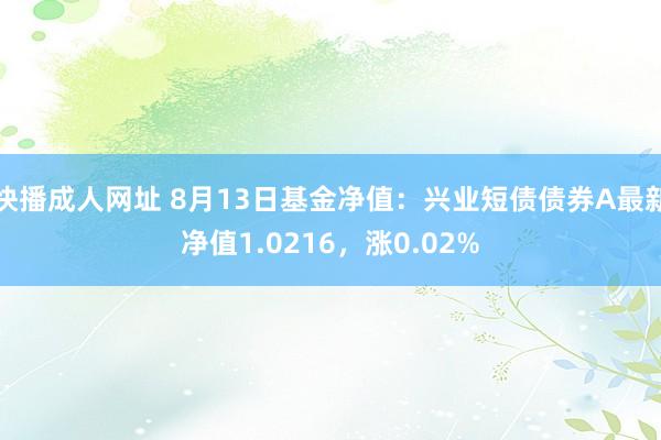 快播成人网址 8月13日基金净值：兴业短债债券A最新净值1.0216，涨0.02%