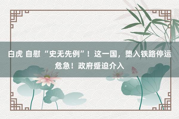 白虎 自慰 “史无先例”！这一国，堕入铁路停运危急！政府蹙迫介入