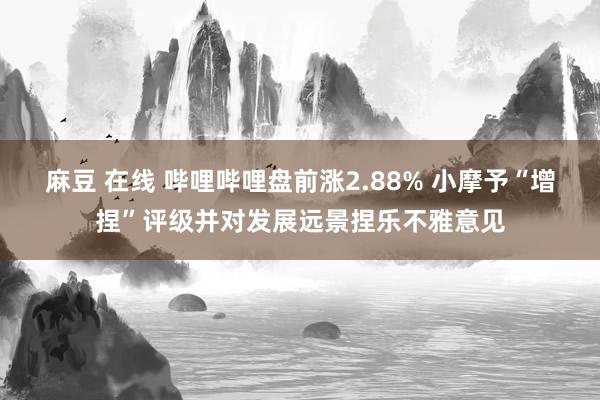 麻豆 在线 哔哩哔哩盘前涨2.88% 小摩予“增捏”评级并对发展远景捏乐不雅意见