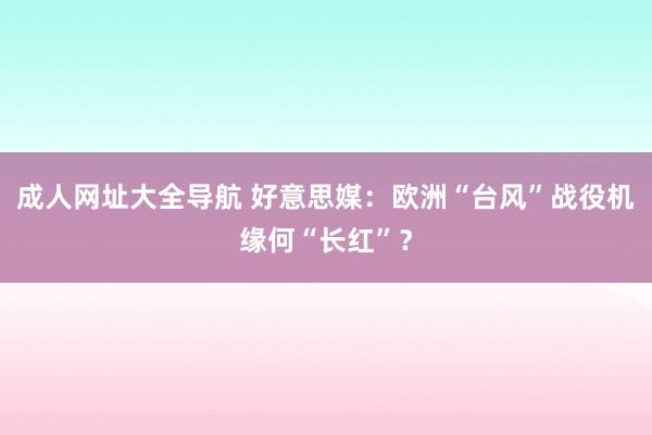 成人网址大全导航 好意思媒：欧洲“台风”战役机缘何“长红”？